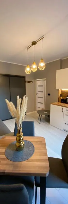 Apartament Jarosław，位于雅罗斯瓦夫的酒店