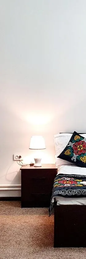 Ocean hotel，位于奥什的酒店