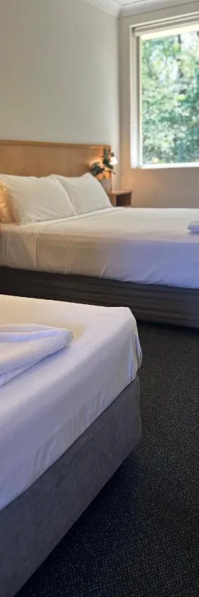 Bull and Bush Hotel，位于Medowie的酒店