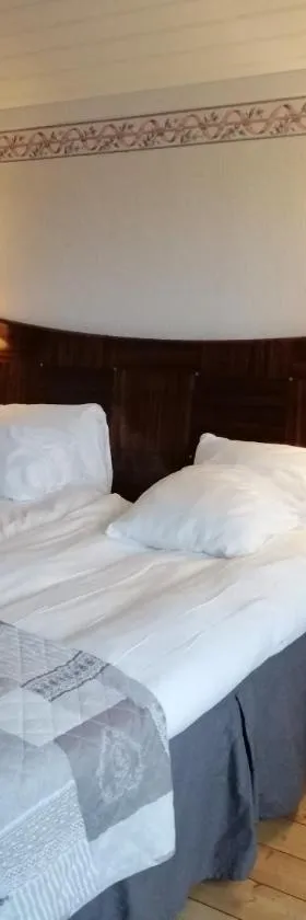 Lugnet Malung Hotell，位于马隆的酒店