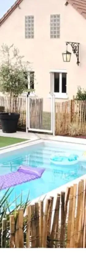 proche chateaux et zoo de beauval: gîte de sologne，位于Pruniers的酒店