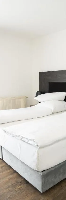AP Hotel Mannheim Viernheim，位于菲尔恩海姆的酒店