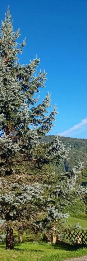 Les Sapins，位于比桑的酒店