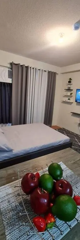 Cebu One Oasis Fully Furnished Studio with balcony，位于Carreta的酒店