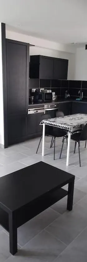 appartement 2 T2 neuf et élégant proche zénith，位于佩里纳特·莱斯·萨尔列夫的酒店