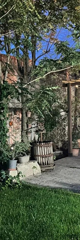 La Cija Olmedo，位于奥尔梅多的酒店