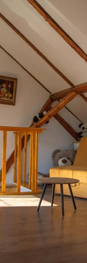 Apartmani Kačara，位于斯雷姆斯基卡尔洛夫奇的酒店