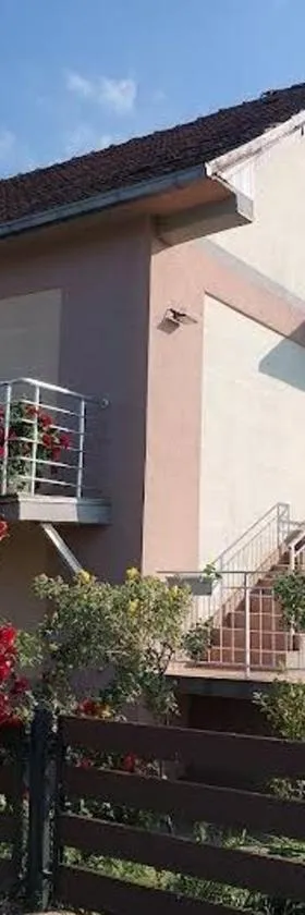 Seosko domacinstvo Nedic，位于瓦列沃的酒店