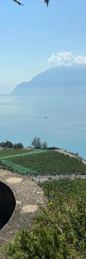 Panoramic Room in the vineyard,stunning views of lake and Alps，位于Puidoux的酒店