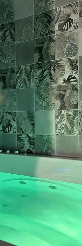 Les pieds dans l'eau TROPICANA，位于Corné的酒店
