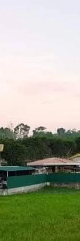 green aa garden resort，位于Sikatuna的酒店