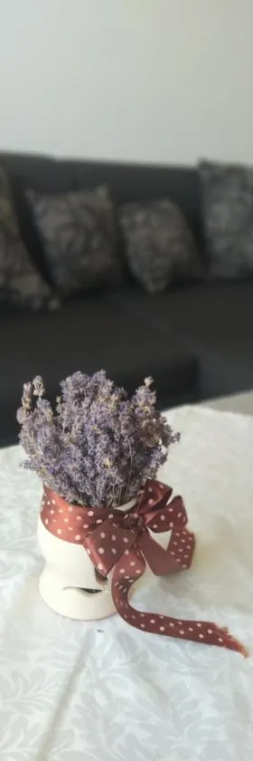 Sweet Home Appartman，位于考津茨包尔齐考的酒店
