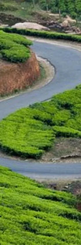 Green and Green，位于瓦加蒙的酒店