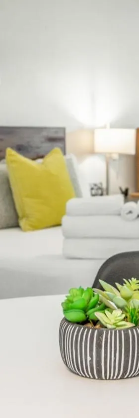 01 The Eames Suite - A PMI Scenic City Vacation Rental，位于查塔努加的酒店