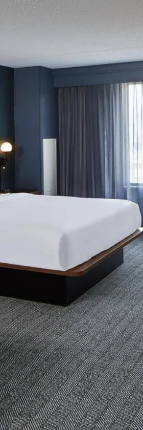 Courtyard by Marriott Detroit Downtown，位于底特律的酒店