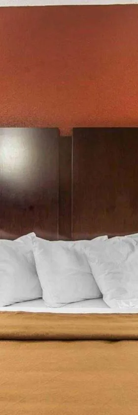 Wingate by Wyndham Marietta Conference Center Ohio，位于玛丽埃塔的酒店