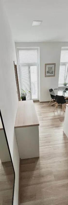 Sušilova 14 apartments III，位于普热罗夫的酒店
