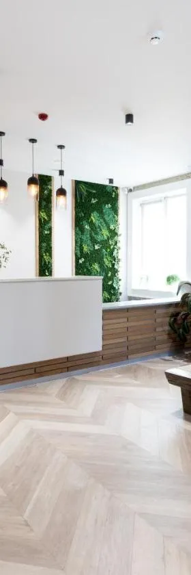 EcoDor，位于奥尔海伊的酒店