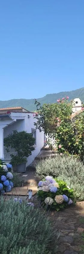 Casas La Principal，位于San Pedro的酒店