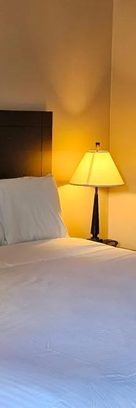 Bellis Inn，位于贝灵厄姆的酒店