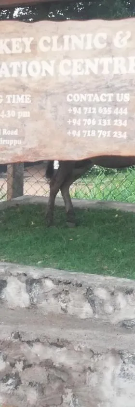 Donkey clinic and education center，位于马纳尔的酒店