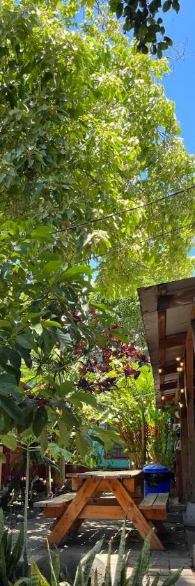 Banana Bungalow Maui Hostel，位于怀卢库的酒店