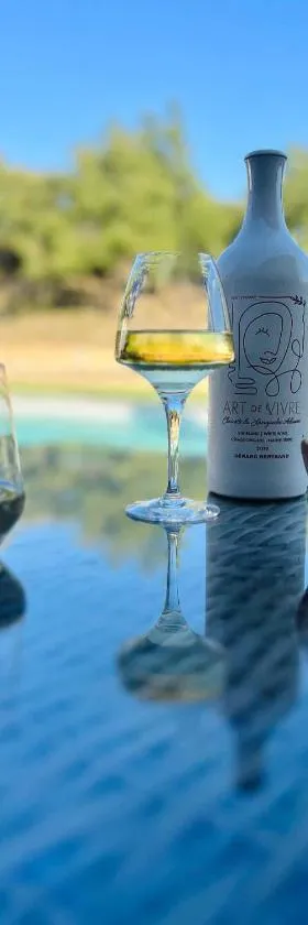 Le SKALI，位于佩潘的酒店