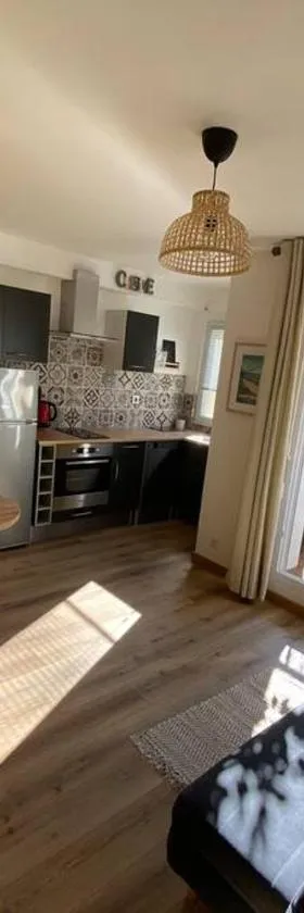 A 50 m de la plage, appartement de 35 m2 : Les pieds salés，位于布雷阿勒的酒店