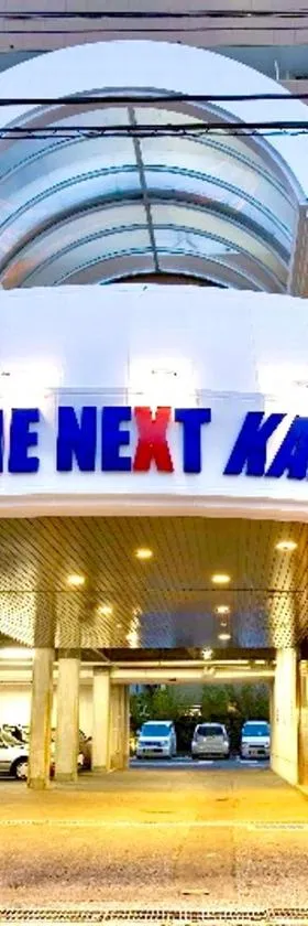 HOTEL THE NEXT KANKU，位于泉南市的酒店