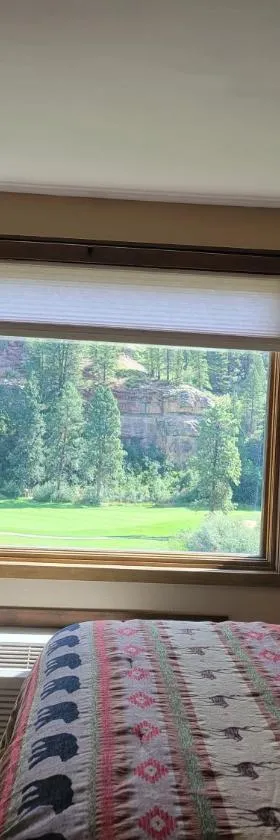 Remodeled Tamarron Lodge unit - Amazing views and 10 miles to Purgatory!，位于杜兰戈的酒店