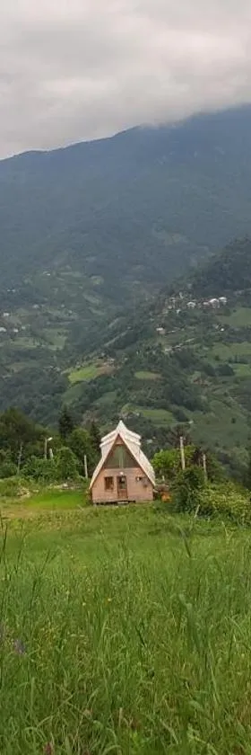 GREEN GUNDAURI，位于Keda的酒店