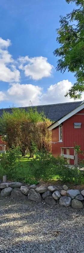 Kongsøre camping, små og store hytter，位于比戈的酒店