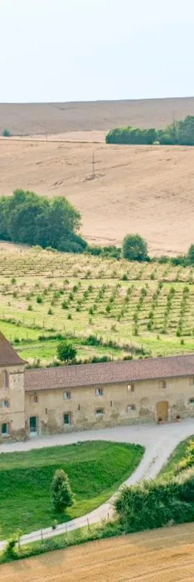 ESCONS DOMAINE DE CHARME，位于Saint-Sulpice-sur-Lèze的酒店