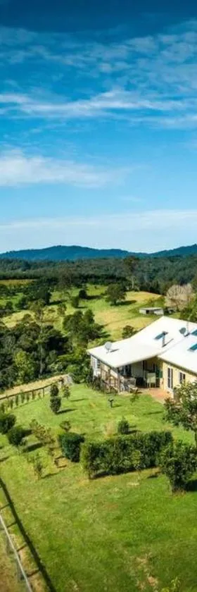 The Tree House Bellingen，位于Thora的酒店