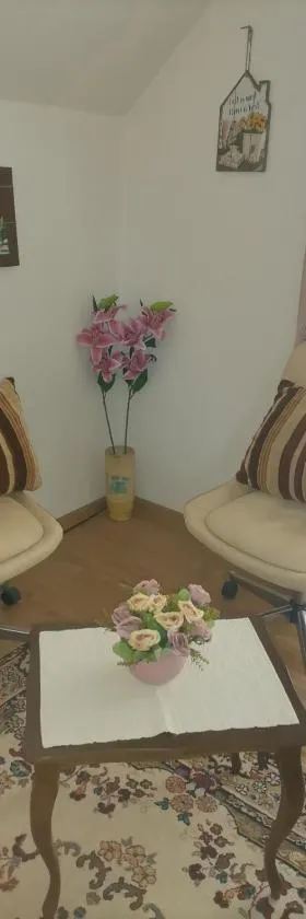 Apartman Vera，位于Srbobran的酒店