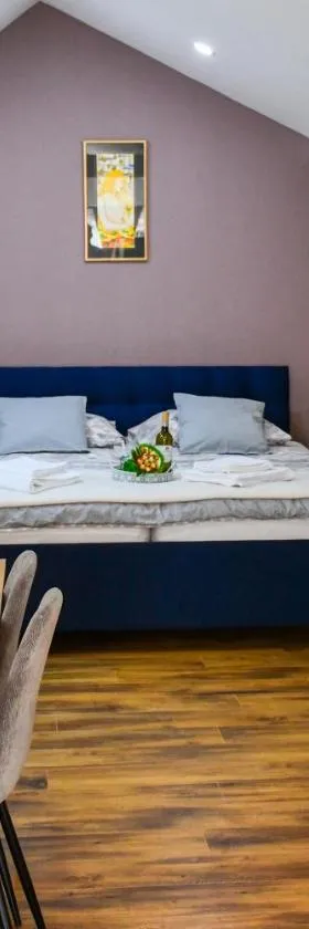 Studio apartment OAZA，位于锡萨克的酒店