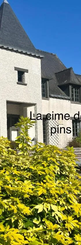chambres d'hôtes, La cime des pins，位于Crévin的酒店