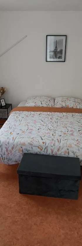 Chambre privée a Arcueil - Cachan，位于卡尚的酒店
