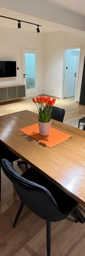 Apartment Luka，位于科查尼的酒店