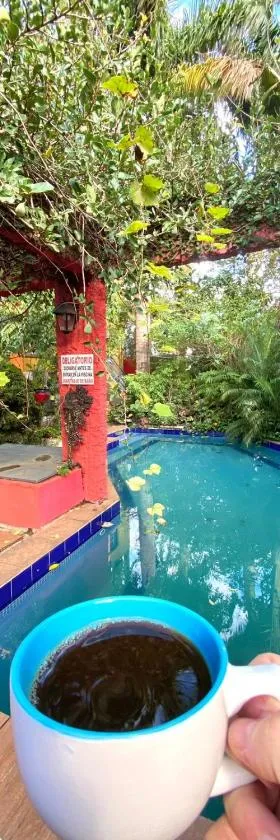 Hotel Centro Villarrica - Paraguay，位于比亚里卡的酒店