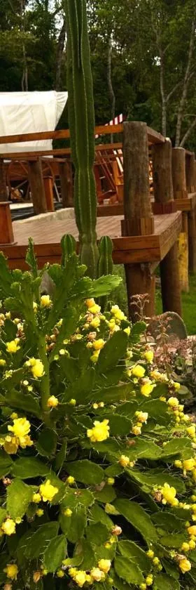 Carroça Arizona, Vila Mágica，位于布埃诺布兰当的酒店
