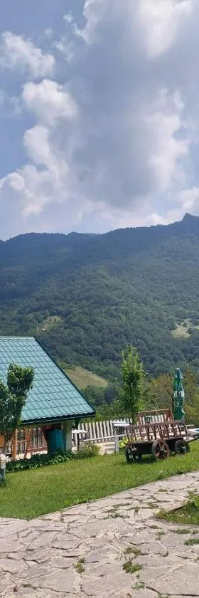 漂流绿塔拉露营地，位于Šćepan-Polje的酒店