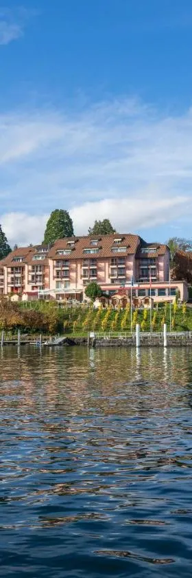 Seehotel Kastanienbaum，位于卢塞恩的酒店
