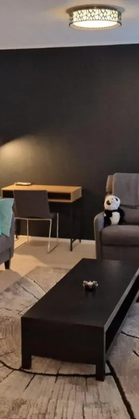 Stylish apartment in town centre，位于索特卡莫的酒店