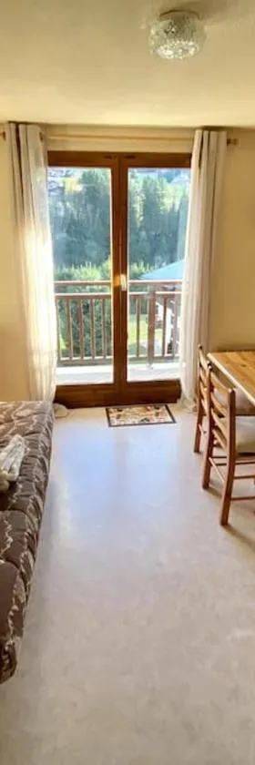 Superbe studio, Praz-sur-Arly，位于阿尔利河畔普拉兹的酒店