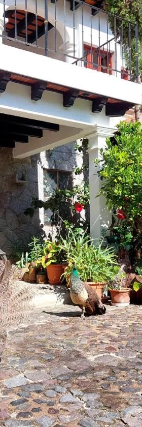 Hotel y Jardines Casa Búho，位于危地马拉安地瓜的酒店