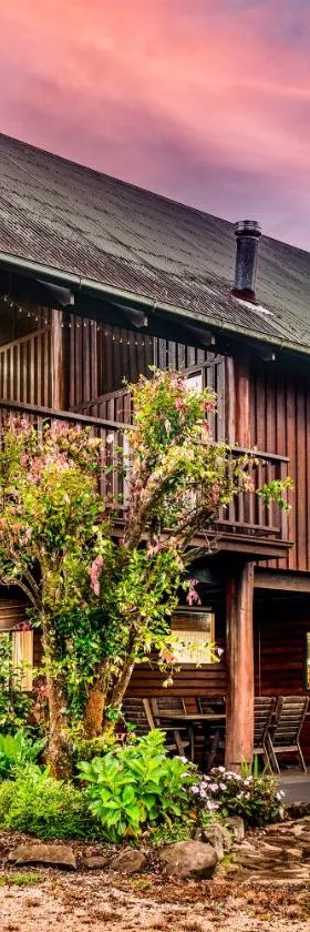 Treetops Sanctuary - Luxury Treehouse pole home，位于Jaggan的酒店