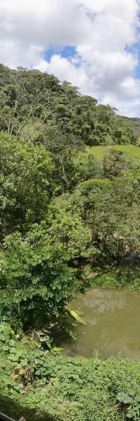 Hospedaje Naturaleza Viva，位于圣拉菲尔的酒店