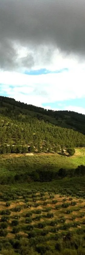 Casa Dehesa San Cristóbal, Jaén，位于哈恩的酒店