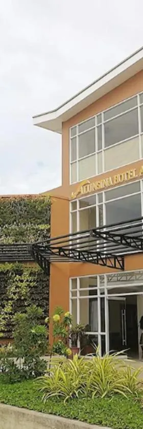 Alunsina Hotel and Spa，位于罗哈斯城的酒店